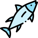 Tokenisation durable de la pêche africaine